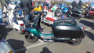 gingers egg run 15