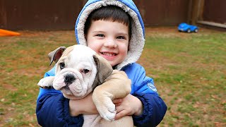 Caleb and Funny Puppy Play Hide and Seek Outside Pretend Play!