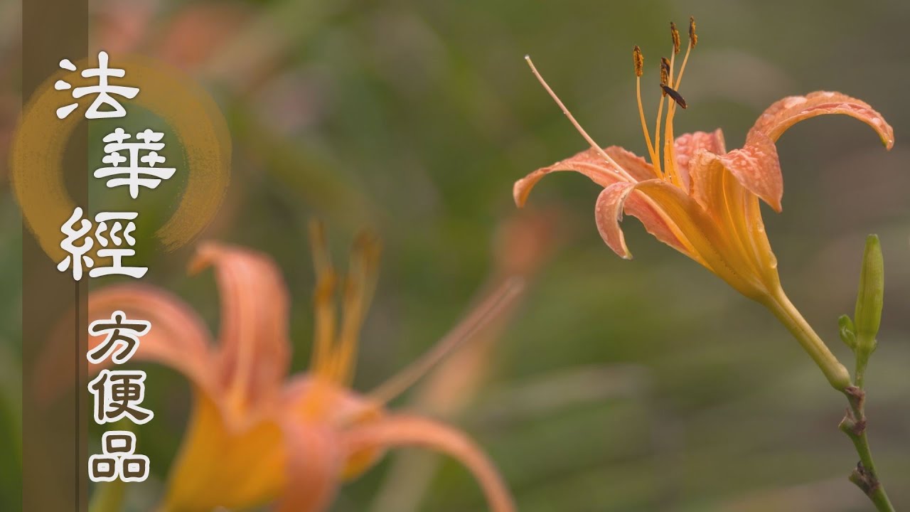 靜思妙蓮華 0507 方便施教對機而演 第279集 Youtube