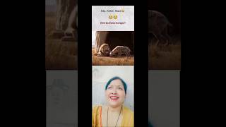 End tak dekho, hansi nahi rukegi! 🤣😂#comedy #funny #lion #hyena #reactionvideo #humor