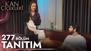 Kan Çiçekleri 277. Bölüm Tanıtımı