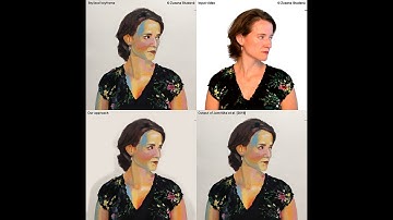 Interactive Video Stylization Using Few-Shot Patch-Based Training (main results)