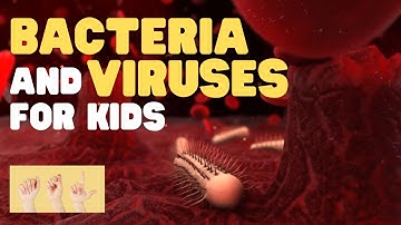 ASL Bacteria and Viruses for Kids