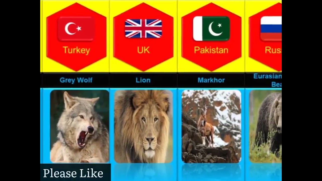 National Animals From Different Countries | Informational Room