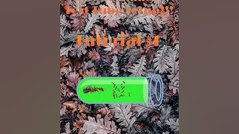 How to make a Test Tube Setup for your ants!!! Tutorial #1