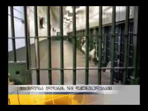 შიმშილობა გლდანის მე-8 დაწესებულებაში