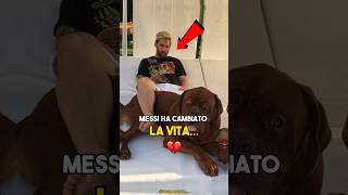 Quando Messi ha deciso di cambiare la vita ad un cane 💔#shortsvideo #calcio #curiosità #messi