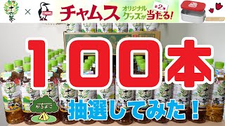 【キャンプ道具】十六茶×チャムス第2弾 チャムスオリジナルメスティン狙いで１００本買って抽選してみた！