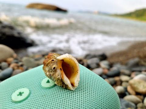 მე-5 სახლი ასტროლოგიაში