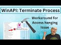 Windows api in vba  terminate process  workaround for access hanging on close