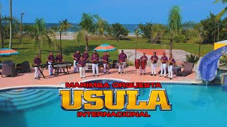 Marimba Orquesta Usula Internacional  -  Exitos del Recuerdo