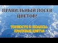 КАК ПРАВИЛЬНО ПОСЕЯТЬ ЦВЕТЫ В ДОМЕ! ВАЖНЫЕ НЮАНСЫ И ТОНКОСТИ. ШАГ 1.