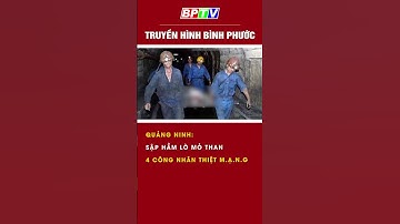 Quảng Ninh: Sập hầm lò mỏ than, 4 công nhân thiệt m.ạ.n.g #shorts  | BPTV
