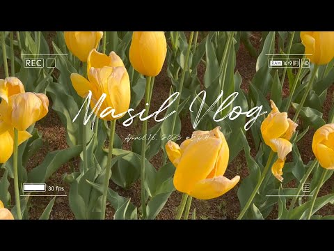 브라보! 멋지다, 연지야🌷🌷ㅣ마실브이로그ㅣ연지공원ㅣ김해ㅣ튤립ㅣ분수ㅣ랜선마실