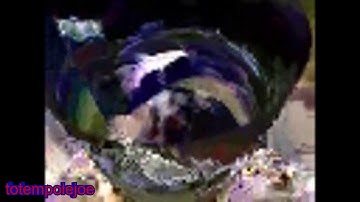 YouTube Poop - SPONGEMOSH: DATABENDING ODYSSEY