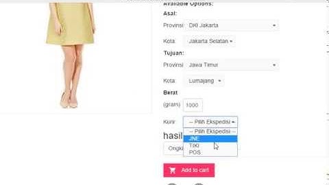beginning API with PHP grab data from rajaongkir