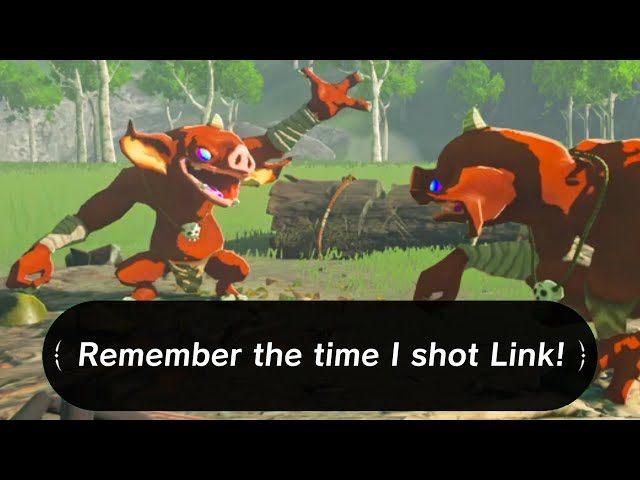 Remember the Time I Shot Link! (Zelda Short) class=