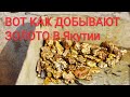 КАК ДОБЫВАЮТ ЗОЛОТО В ЯКУТИИ.