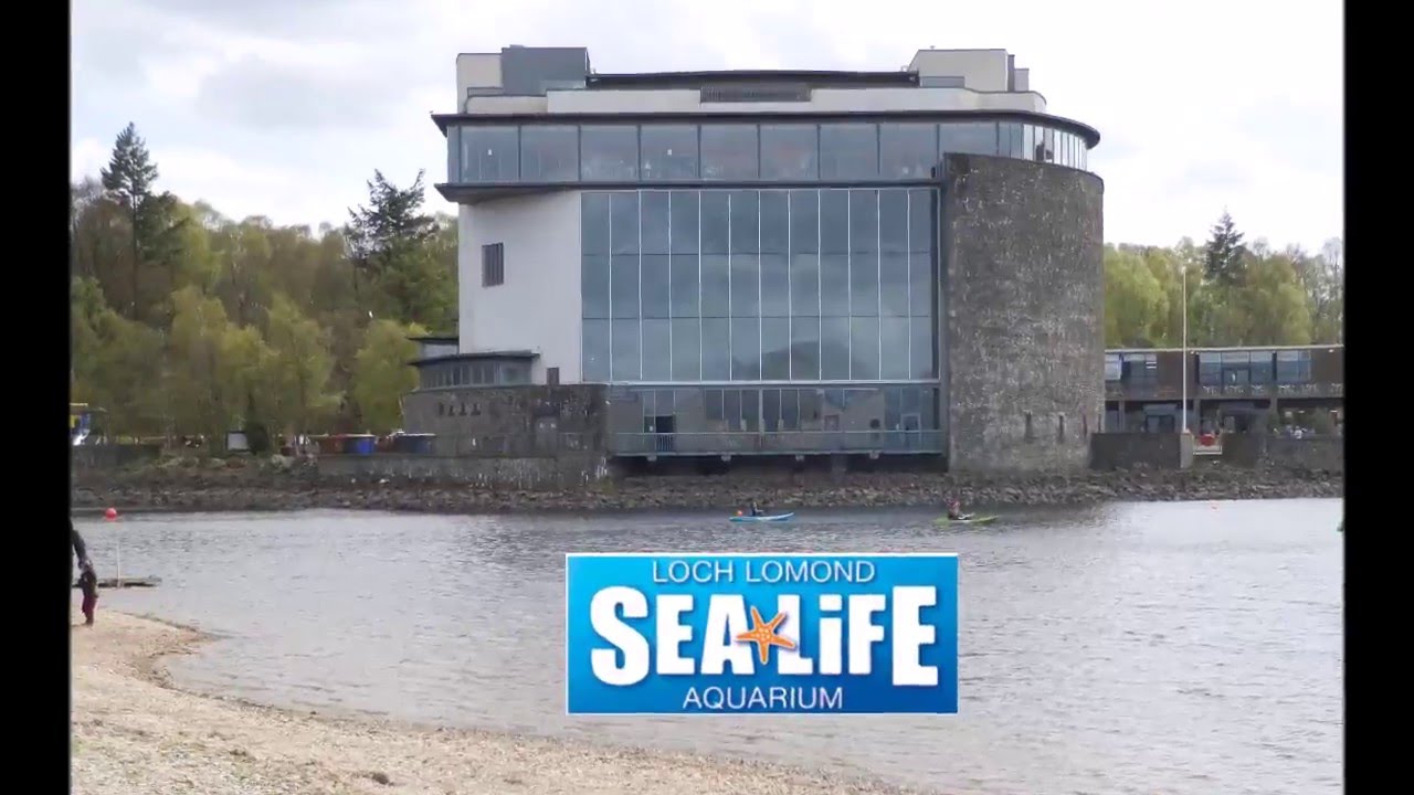Sea Life Centre Loch Lomond - YouTube