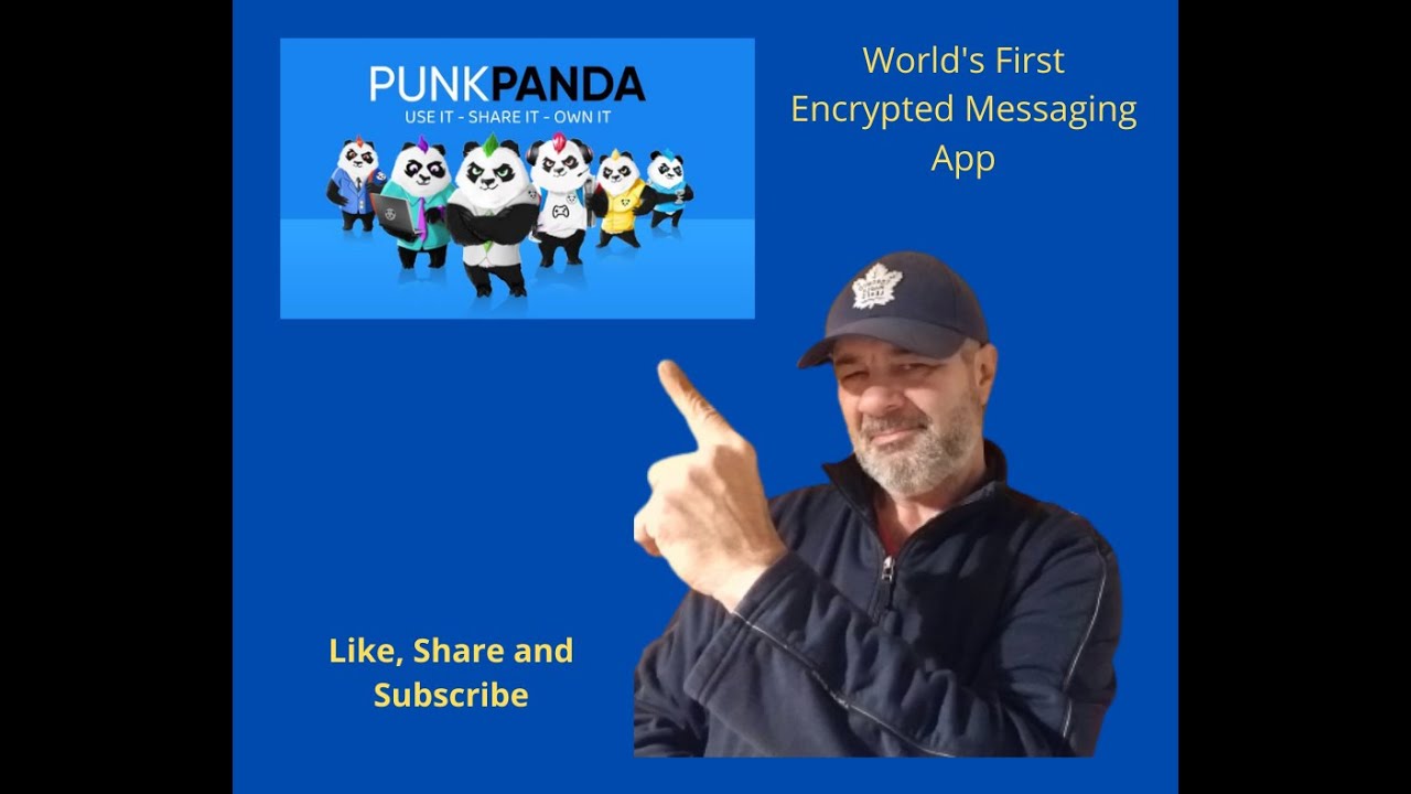 Punk Panda Presentation