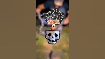 NHỮNG LOÀI RẮN ĐỘC NHẤT VIỆT NAM | 😨 #facts #amazingfacts #thaukinhdongvat