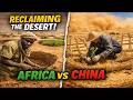 How Africans Dug Millions Of Half Moon Pits In The Sahara Desert That Changed The Entire Continent