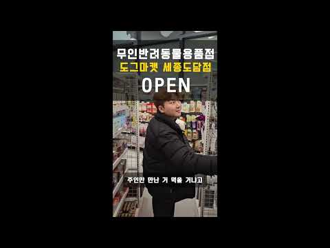 도그마캣 영종하늘도시점