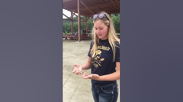 Dowsing Rod: Does It Really Work?