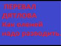 Перевал Дятлова . Как оленей надо разводить.