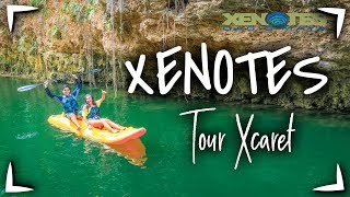 XENOTES  Tour de XCARET ► 5 CENOTES en RIVIERA MAYA 1 DÍA  ✅TODO INCLUIDO Cancun, Playa del Carmen