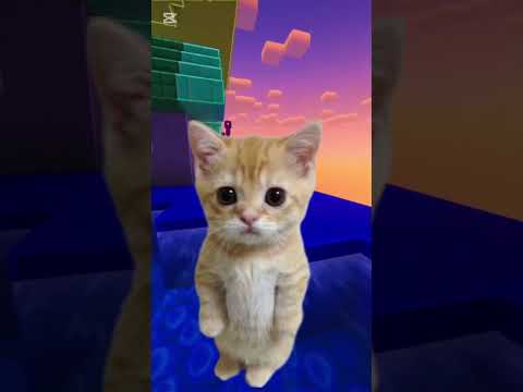 Pipipi #viralvideo #story #teluciste