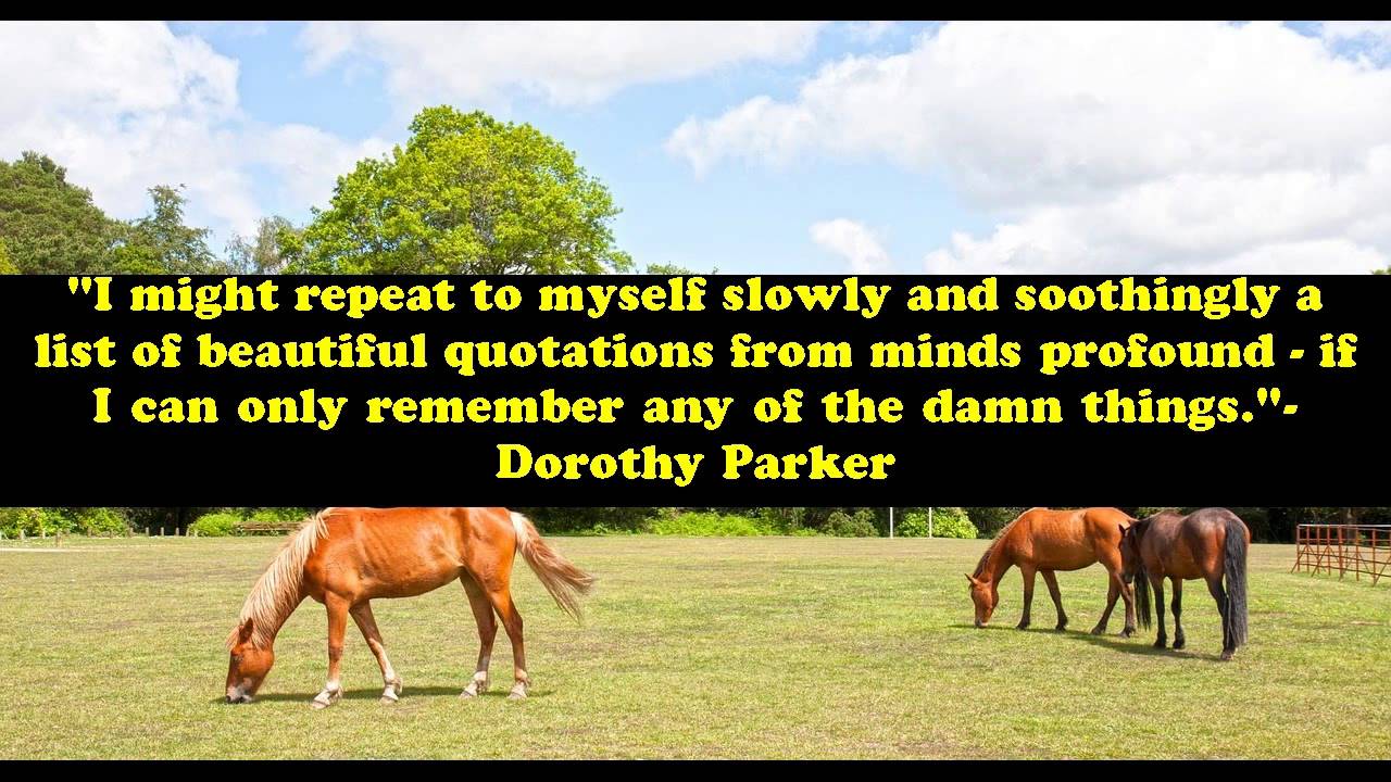 Famous funny quotes about life lessons Famous funny quotes about life lessons