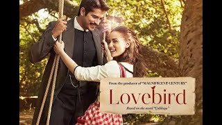 Lovebird Calikusu - Wren Turkish Series Trailer Eng Sub