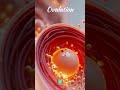 Understanding Ovulation: The Secret to Boosting Your Fertility #shorts #ovulation #womenshealth