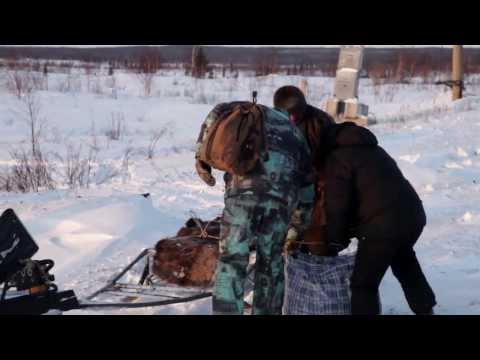 One Year for Jesus Project. Trip to Vorkuta