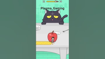 Hide and Seek: Cat Escape | Level 32