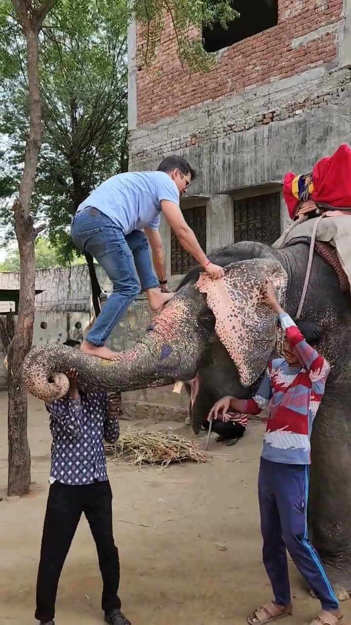 Jio re bahubali