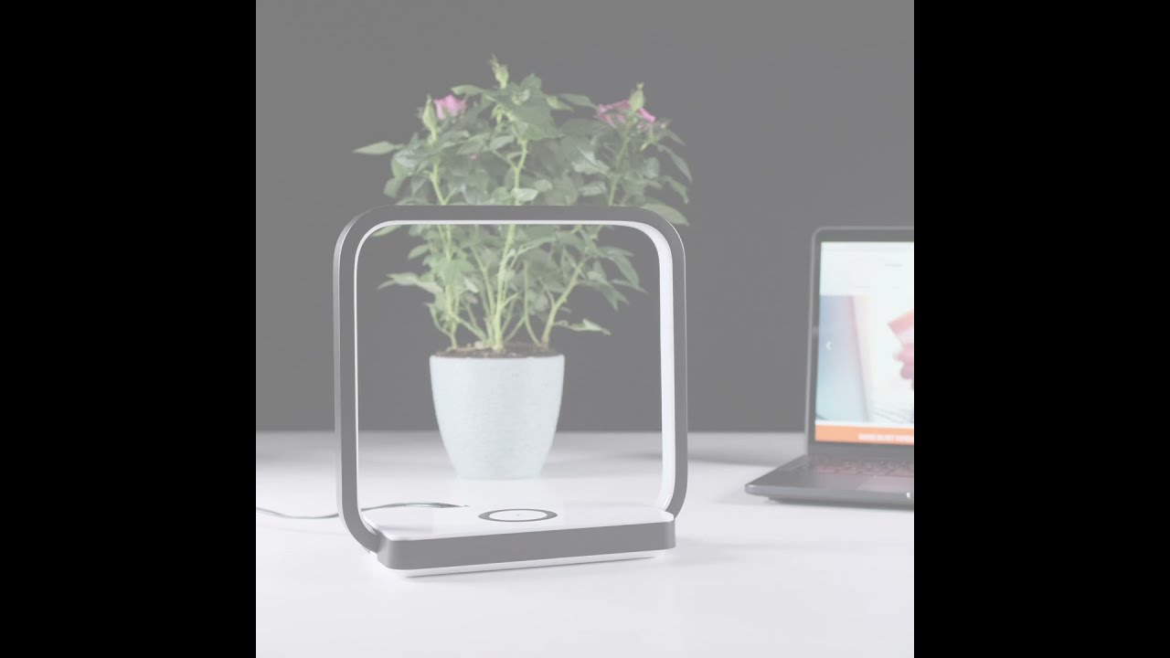 Настольная лампа Eurosvet Frame 80502/1 черный