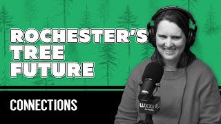 The future of Rochester’s trees