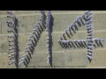 Aerialgraphy short view Nursing Batch January 2014 KSKB SAS