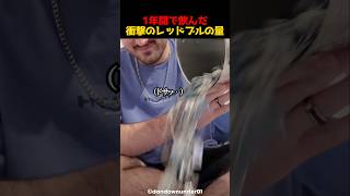 1年間で飲んだ衝撃のレッドブルの量