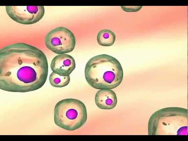 Carcinogenesis: The transformation of normal cells to cancer cells - YouTube