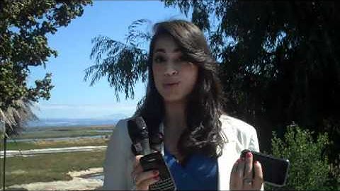 Enterprise Mobility: Hot Trends on Mobile Employees - New Report