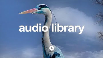 Mad Science - MK2 | Dance & Electronic | Angry | No Copyright Music YouTube - Free Audio Library