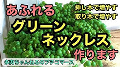 多肉ちゃんねるのプチコマース Youtube