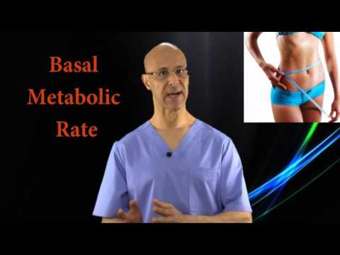 How to Use Your BMR (Basal Metabolic Rate) to Lose Weight Dr Mandell