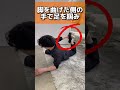 キツイけど効果バツグンの反り腰ストレッチ！反り腰は股関節・前ももが硬くなるのでしっかり伸ばすことが重要です！ぜひお試しを！#ストレッチ #整体 #腰痛 #セルフケア #反り腰 #short