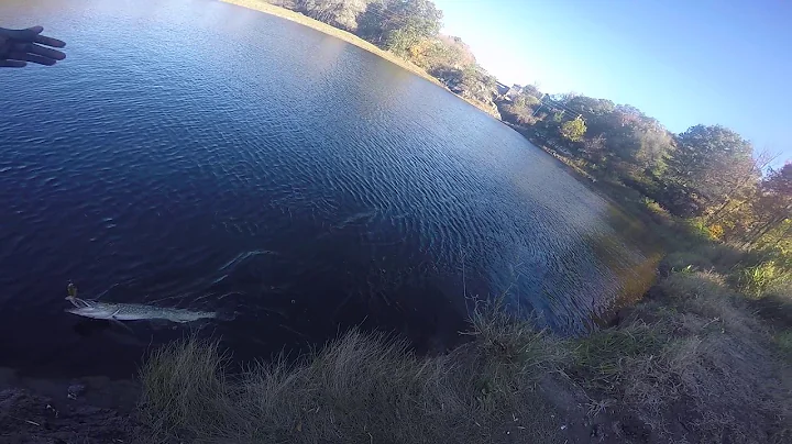 Fishing with Malik : Northern Pike Fishing Theresa...