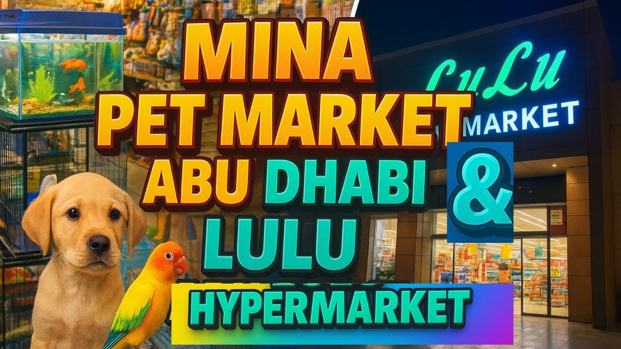 MINA PET MARKET ABU DHABI & LULU HYPERMARKET TOUR | Best Pet Shops