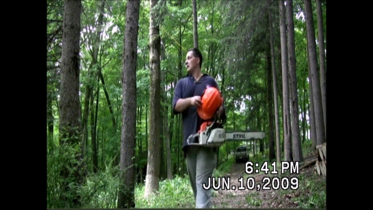 Cutting Down Dead Ash Trees in NorthEastern New Jersey in 2009 YouTube